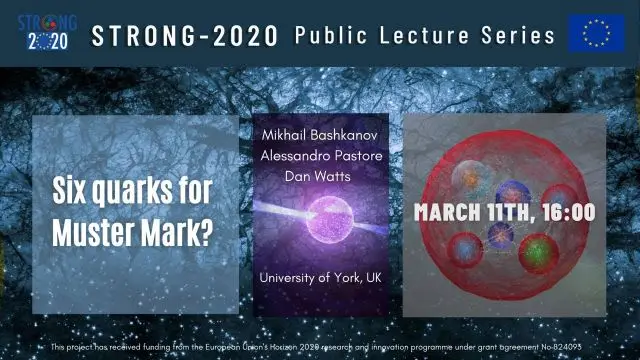 Strong 2020 - Six quarks for Muster Mark?