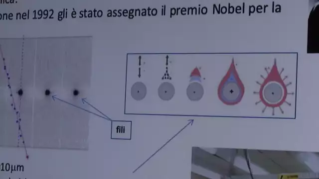Lezione sperimentale sui rivelatori dentro il Visitor Centre  G. Mancini, G. Bencivenni (INFN-LNF)