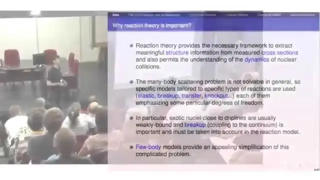 NN 2015 - Reaction theory: status and perspectives