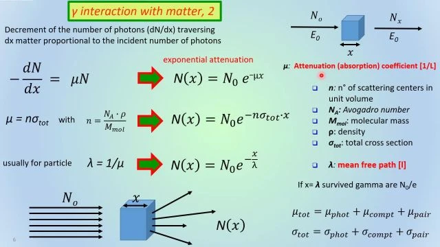 INFN BO FCR 241024 - Roberto Spighi - Hadron Therapy