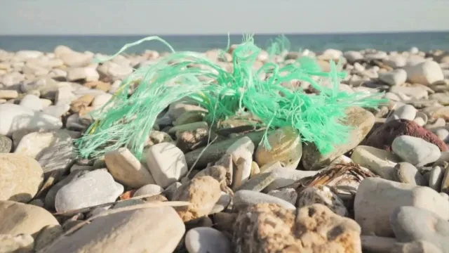 Finchè la barca va