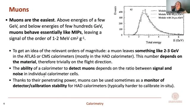 INFN BO FCR 250117 - Iacopo VIvarelli - Calorimetry